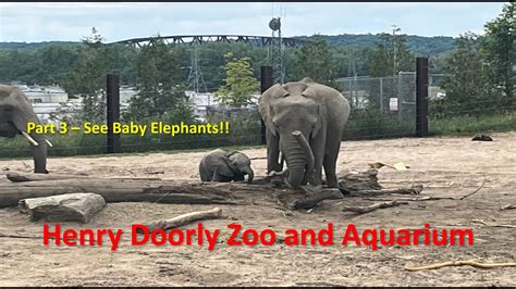 Omahas Henry Doorly Zoo And Aquarium Part 3 Animal Trek A 4k Zoo