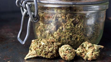 How long do smoke and carbon monoxide detectors last? How To Dry Weed (with Pictures): Expert Drying and Curing ...