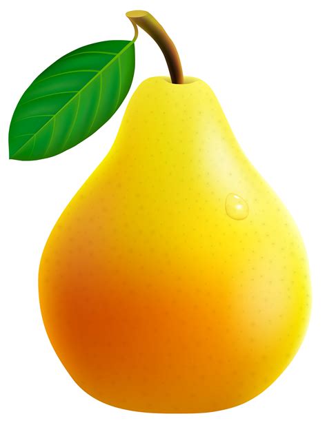 Pear Fruit Clip Art Pear Png Download 27613581 Free Transparent