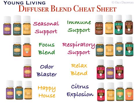 Young Living Oil Diffuser Young Living Essential Oil Diffuser Recipes