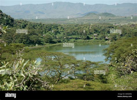 Kenya Lake Naivasha Kenya The Crater Lake Stock Photo Alamy