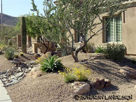 60 Stunning Desert Garden Landscaping Ideas For Home Yard Front Yard Landscaping Design