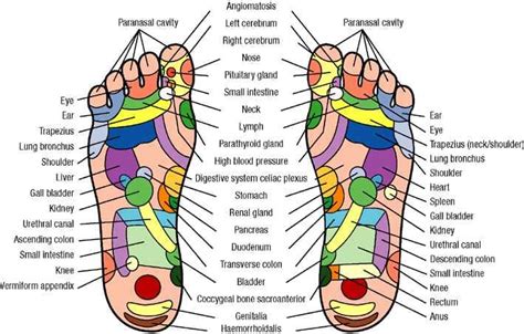 Top Foot Reflexology Updated May 2024 11911 Jones Rd Houston Texas Massage Yelp