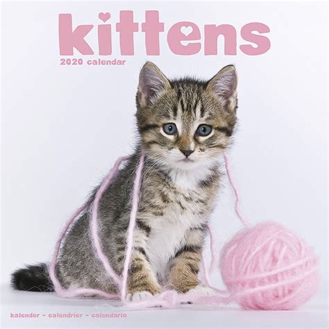 Kittens Calendar 2020 Pet Prints Inc