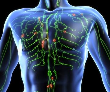 A proposal of the international society for cutaneous lymphomas. Dan Bongino Reveals His Neck Tumor Might be Lymphoma - Dr ...