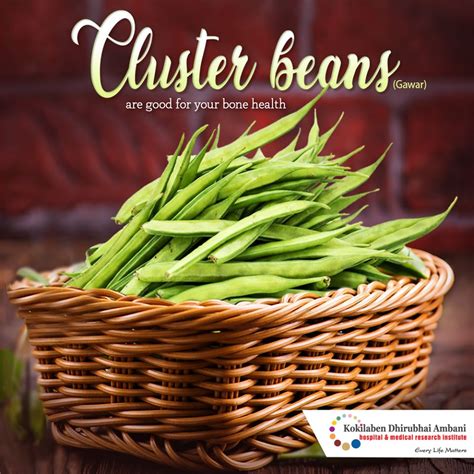 Benefits Of Cluster Beans Health Tips From Kokilaben Hospital