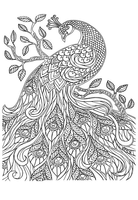 Coloring Pages For Stress Relief Of Owls