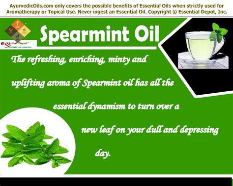 It is more subtle for kids because it has only a small amount of menthol in it so you can confidently use it with younger jojoba and fractionated coconut oil are popular carrier oils for essential oils. Chemical constituents of Spearmint essential oil ...