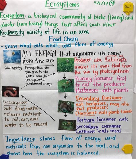 We did not find results for: Mrs. Paul - Biology: Biology 2016-2017 Charts/Notes