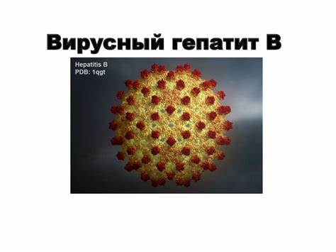 Вирусный гепатит а диета 5 Вирусный гепатит А. Вирусный гепатит В. Вирусный гепатит С Вирусный гепатит А. Вирусный гепатит В. Вирусный гепатит С Вирусный гепатит а диета 5