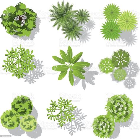 Set Of Treetop Symbols For Architectural Or Landscape Design Stock