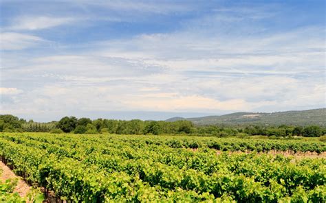 Les Vignerons De La Provence Verte La Route Des Vins De Provence