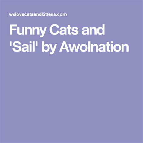Funny Cats And Sail By Awolnation Funny Cats Funny Cats