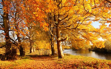 Scotland Autumn River Fall
