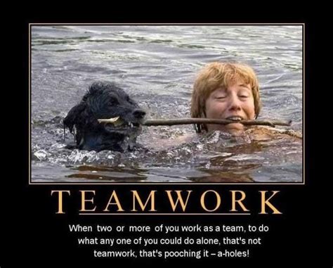 Teamwork Quotes Funny Teamwork Memes For Work Shortquotescc