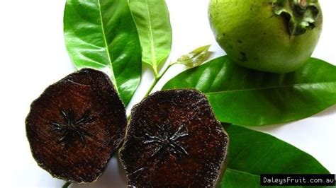 Lucky snackers open chocolate pudding fruit like an avocado, as well: The Black Sapote or Chocolate Pudding Fruit is not ...