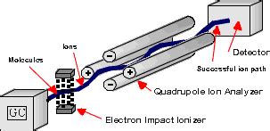 What the mass spectrometer output looks like. Mass Spec - Chemistry LibreTexts