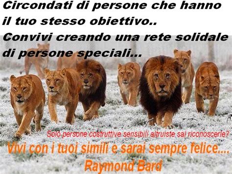 Che direquesti messaggi mi fanno piangere sono felice di. Raymond Bard - Total Wellness Coaching : Non dare perle ai ...