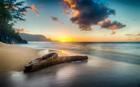 3840x2400 Driftwood On Beach At Sunset On North Shore Of Kauai 8k 4k Hd