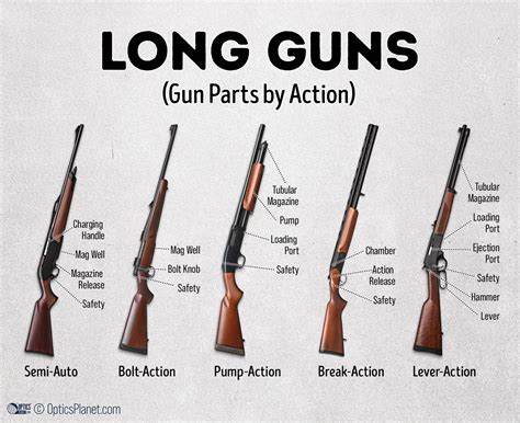 Gun Anatomy Basic Parts Infographics