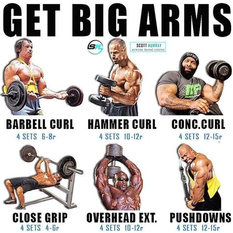 Do You Ever Do Arm Days Follow Theblackspiderman Biceps 3 Muscles