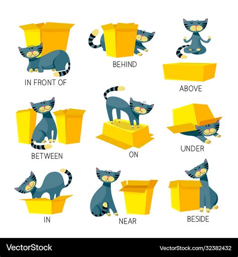 English Prepositions Place Visual Aid For Vector Image