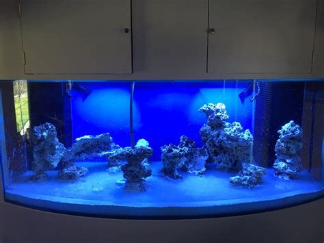 Aquascaping Show Your Skills Page 51 Reef Central Online