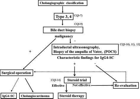 Clinical Practice Guidelines For Igg4‐related Sclerosing Cholangitis