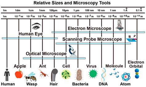 Basic Principles Of Atomic Force Microscopy Encyclopedia Mdpi