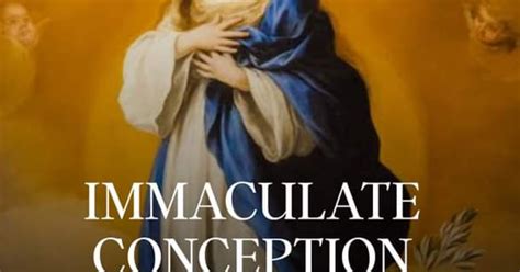 Catholic Inspirations Overload Solemnity Of The Immaculate Conception Of The Blessed Virgin Mary
