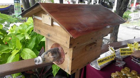 Kali ini saya membagikan video cara mencari lebah kelulut di sekitar rumah. November 2014 ~ TERNAK LEBAH KELULUT