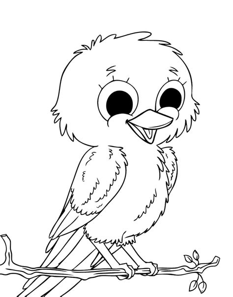 The text also paints a picture of the three baby owl's characters especially young scared bill and a plot all children can relate to, concern about when his mommy owl will return. Birds Drawing For Colouring at GetDrawings | Free download