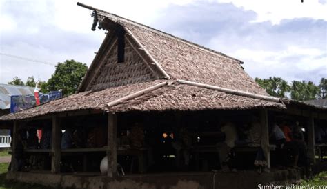 Rumah Adat Dari Maluku Studyhelp