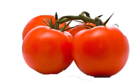 Tomato Png Images Transparent Background Png Play