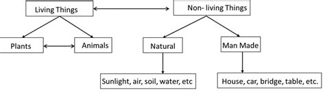 Ncert Class 4 Science Living And Non Living Things Complete Notes