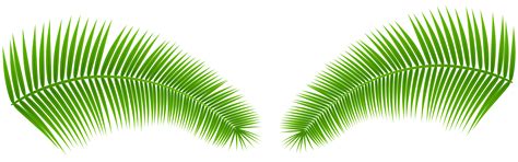Clipart leaves palm leaves, Clipart leaves palm leaves Transparent FREE for download on 