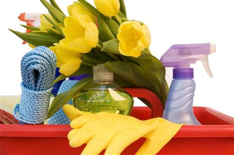 Check spelling or type a new query. Spring Cleaning Tips, Apartment Cleaning Checklists and Green Cleaners | TF Cornerstone