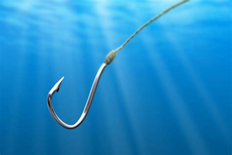 Do Fishing Hooks Dissolve How Long Does It Take Outdoor Troop