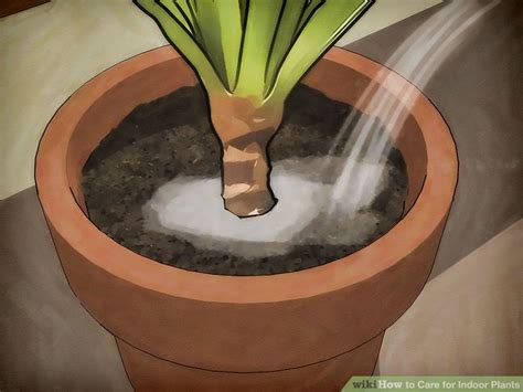 Cacti plants come in different colors, structures, and sizes. How to Care for Indoor Plants: 15 Steps (with Pictures ...