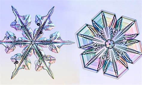 Dr Snow On Why No Two Snowflakes Are Alike Dal News Dalhousie