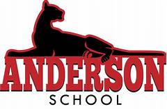 Anderson Busted Newspaper