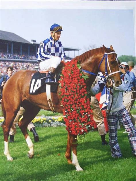 The kentucky derby is often referred to as the run of the roses. Triple Crown Winner Secretariat wearing his Kentucky Derby ...