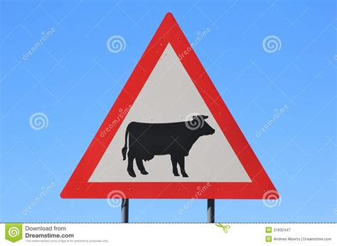 Danger Cattle Cow Crossing Road Sign Watch Out For Domestic