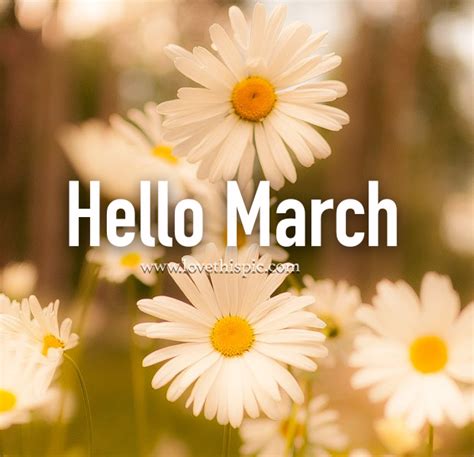 Daisy Hello March Quote Pictures Photos And Images For Facebook