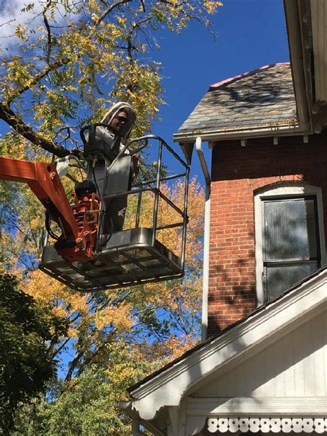 Don't get stung by inexperience. APOLLO PEST AND HOME INSPECTIONS - Home Inspector - Medina ...