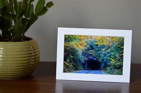 Magic Tunnel 5x7 Color Photography Landscape Etsy
