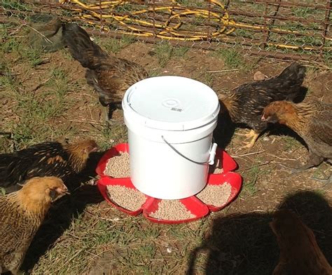 6 Gravity Powered Auto Chicken Feeder 5 Steps With Pictures