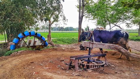 Rehat Old Water Wheel Irrigation System In Pakistan Jhallar
