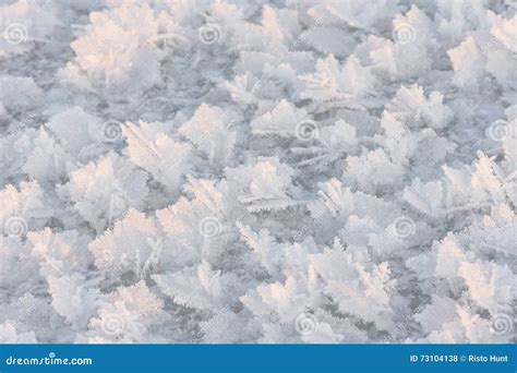 Large Snow Crystals Closeup Stock Photo Image Of Snowflake Season