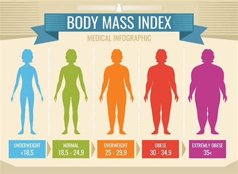 Premium Vector Woman Body Mass Index Vector Medical Infographic Body